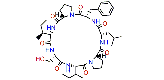 Rolloamide B